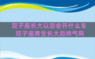 双子座长大以后会开什么车 双子座男生长大后帅气吗